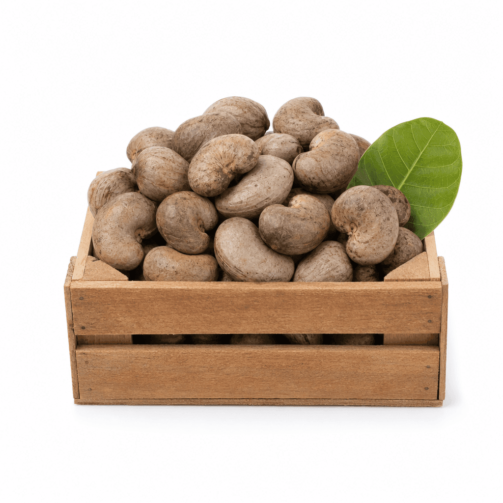 Organic Raw Cashew Nuts (RCN) — FOB Tanzania