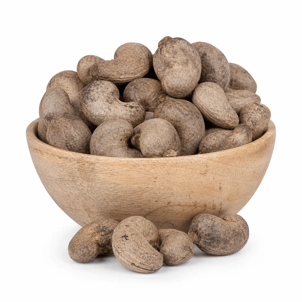 Standard Raw Cashew Nuts (RCN) — FOB Tanzania